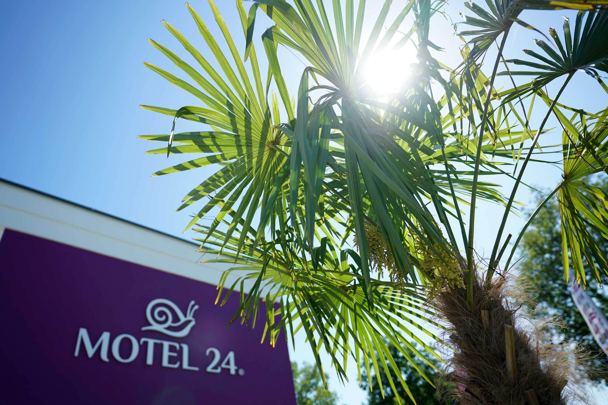 Motel24 Rietberg Palmen mit Logo