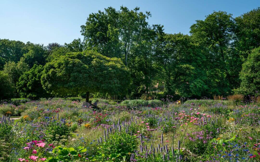 Zeichnen im Botanischen Garten