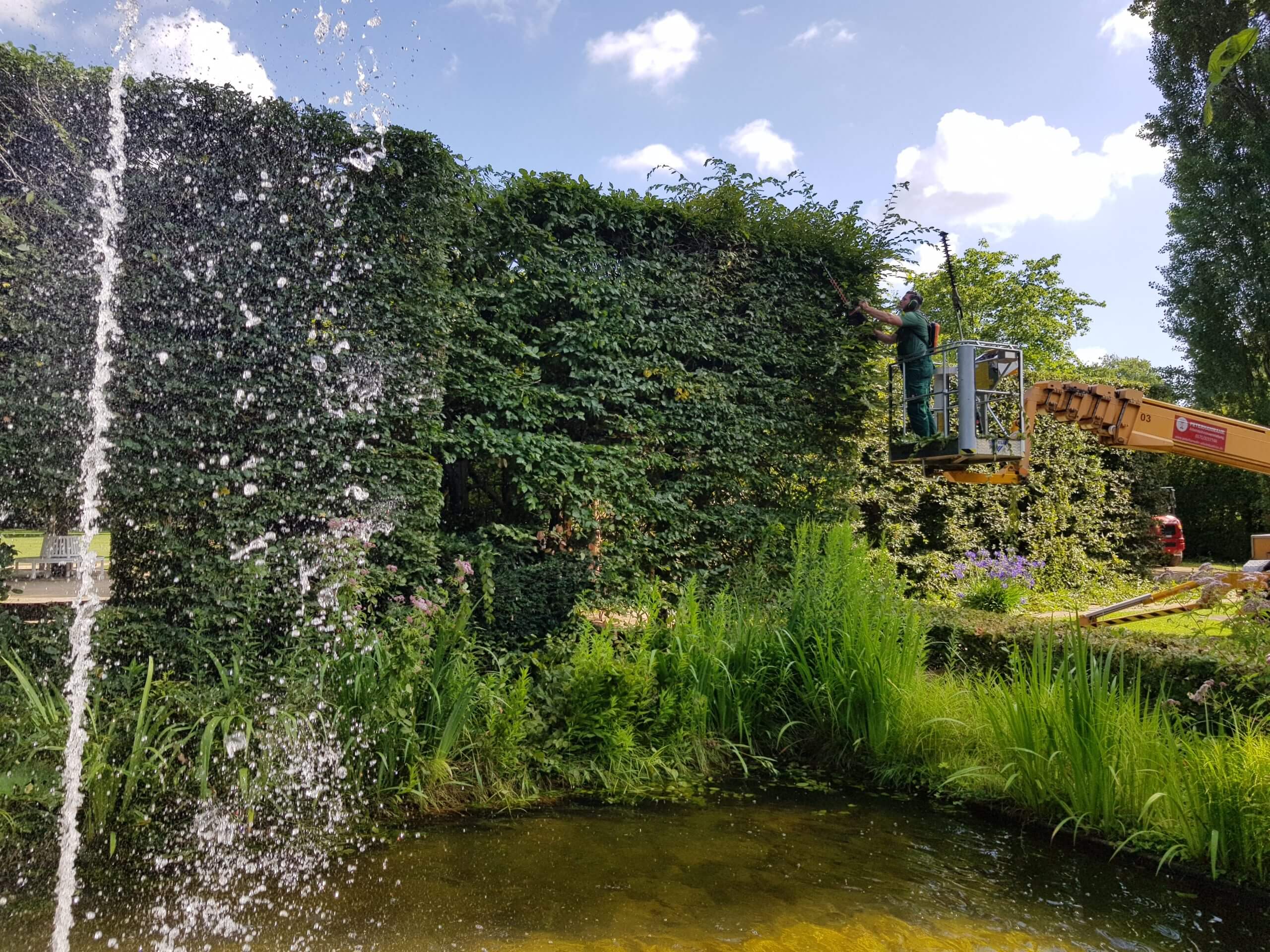 Bilder: Dominik Harmann von der Firma Axel Linnemann bringt den Heckengarten im Botanischen Garten in Form. Foto: Stadt Gütersloh