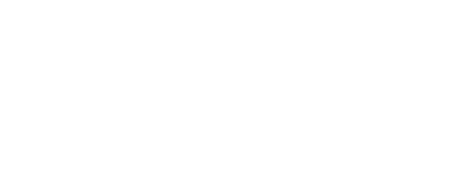 Elasten Logo