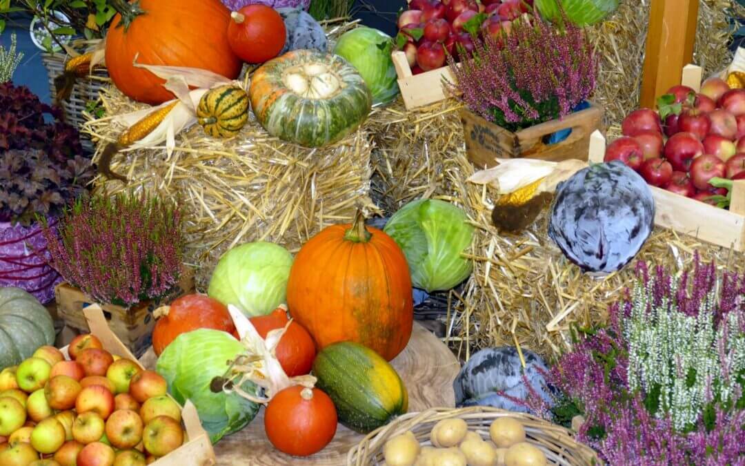 Erntedank: Heimische Bauern blicken auf schwierige Ernte