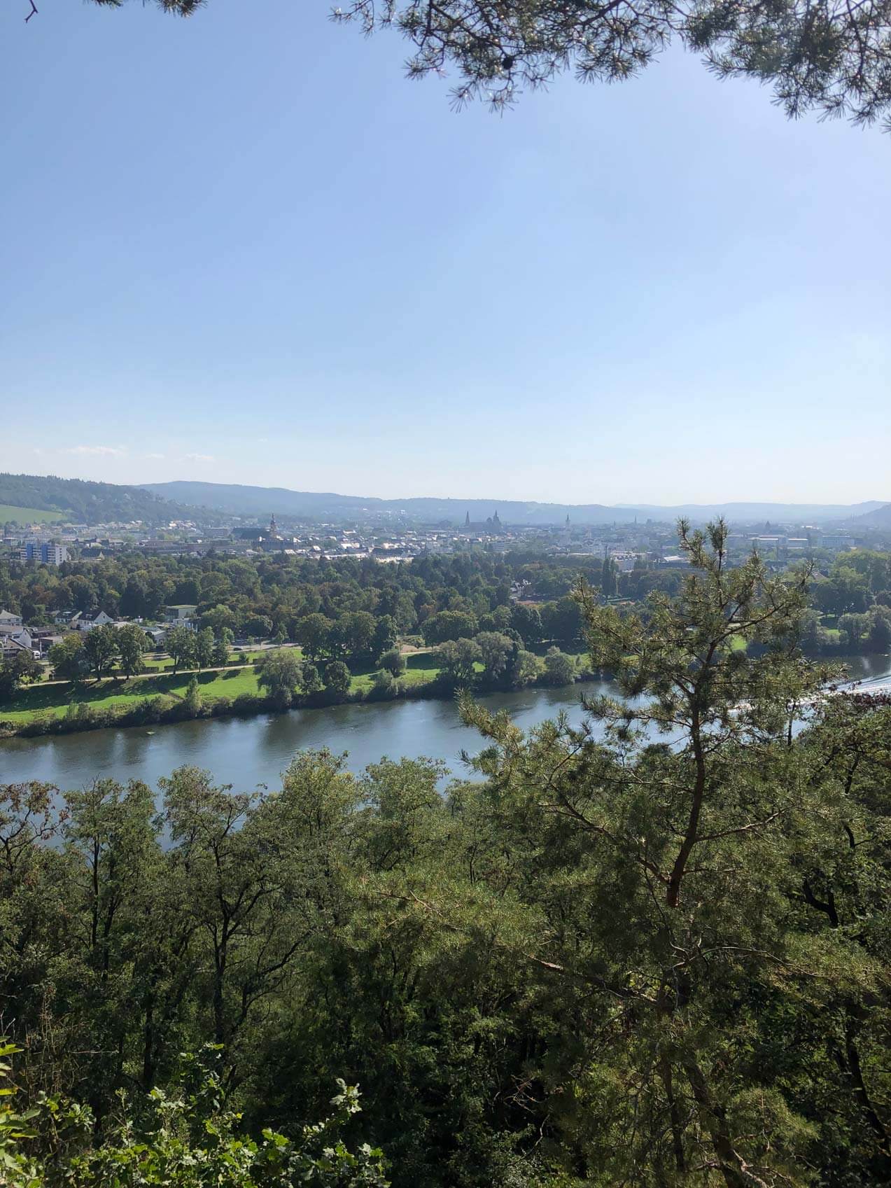 Von Koblenz bis Trier - der Mosel Camino