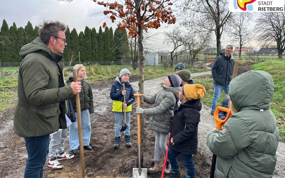 Pflanzfest in Varensell mit Spitzahorn und Rotbuche