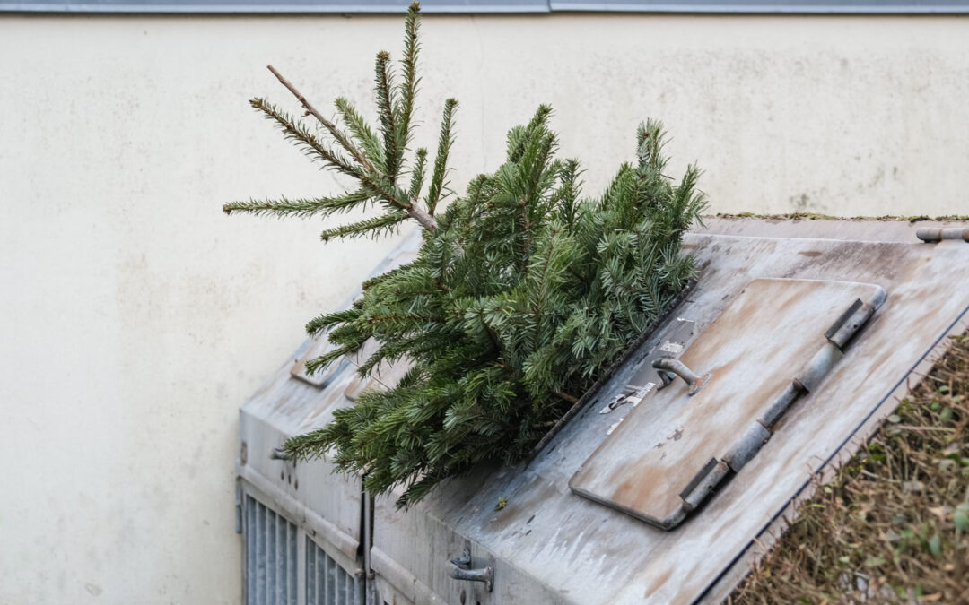 Kostenlose Strauchschnittannahme am Kompostwerk und am Entsorgungspunkt für Gütersloherinnen und Gütersloher