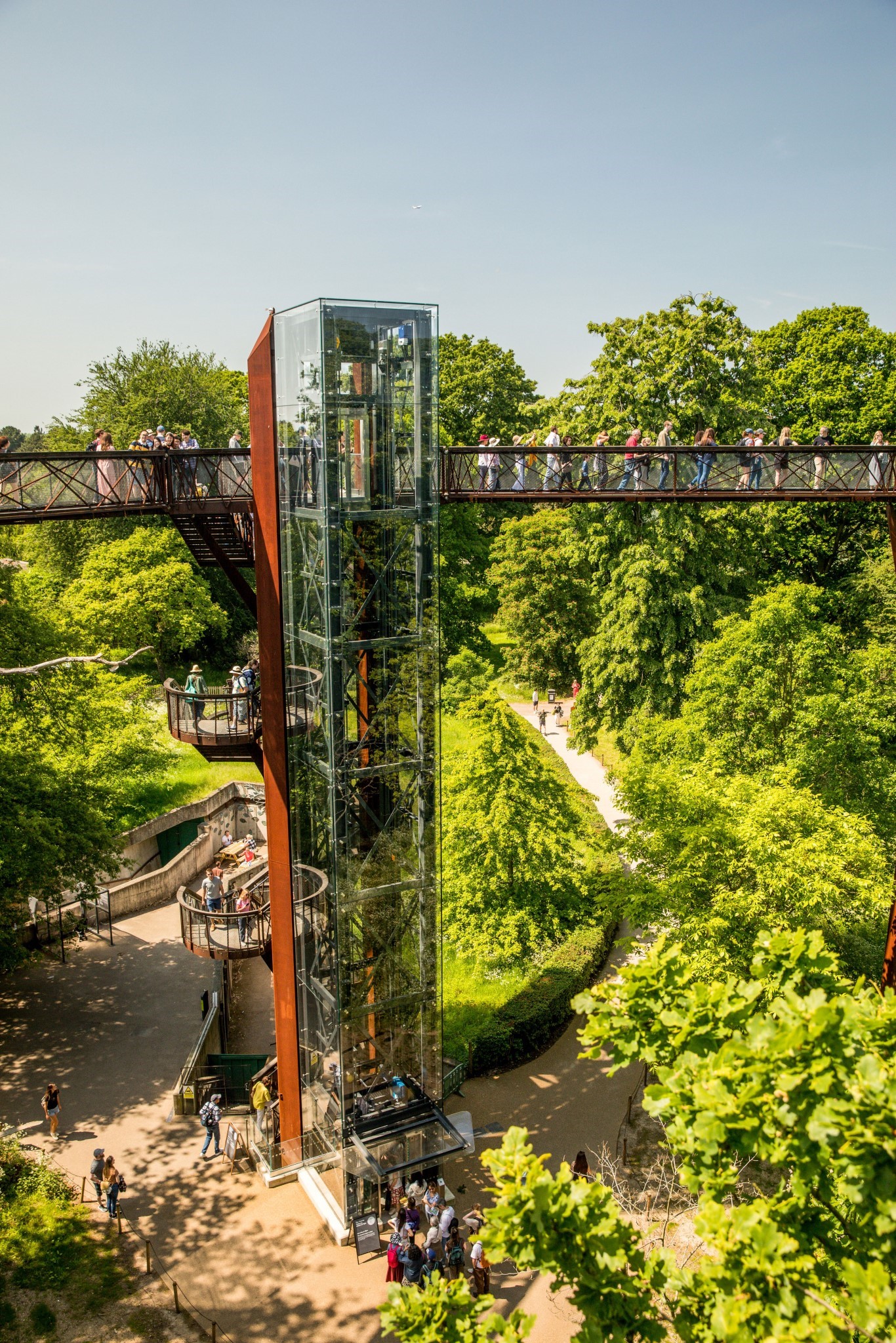 Treetop Walkway - Danielas Blog #18 – The Royal Botanic Gardens Kew