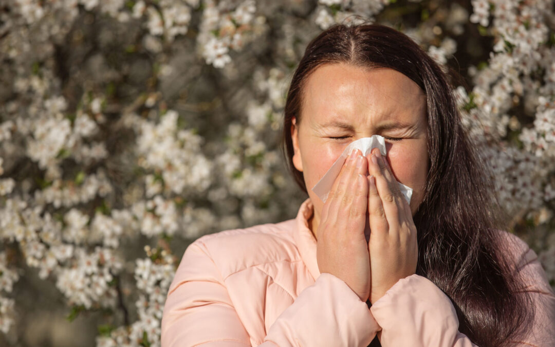 Erste Haselpollen im Kreis Gütersloh in der Luft