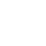 TikTok Icon