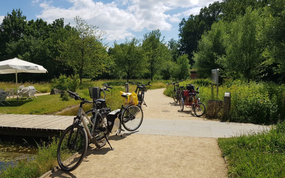 Keine Fahrräder und E-Scooter im Botanischen Garten erlaubt