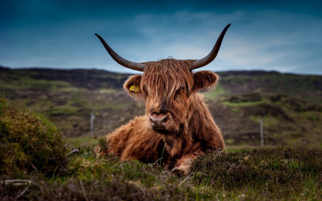 Schottland lädt ein – virtuell