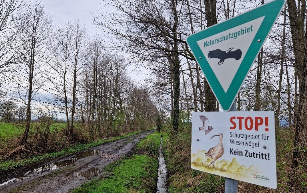 Vogelbrut braucht Ruhe