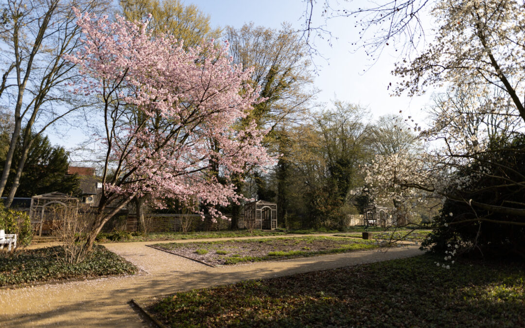 Spaziergang im Grünen