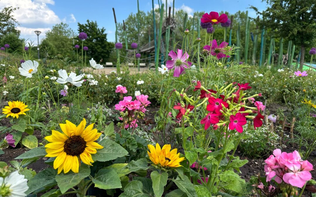 Interessierte begeben sich auf „Kleine Gartenreise“