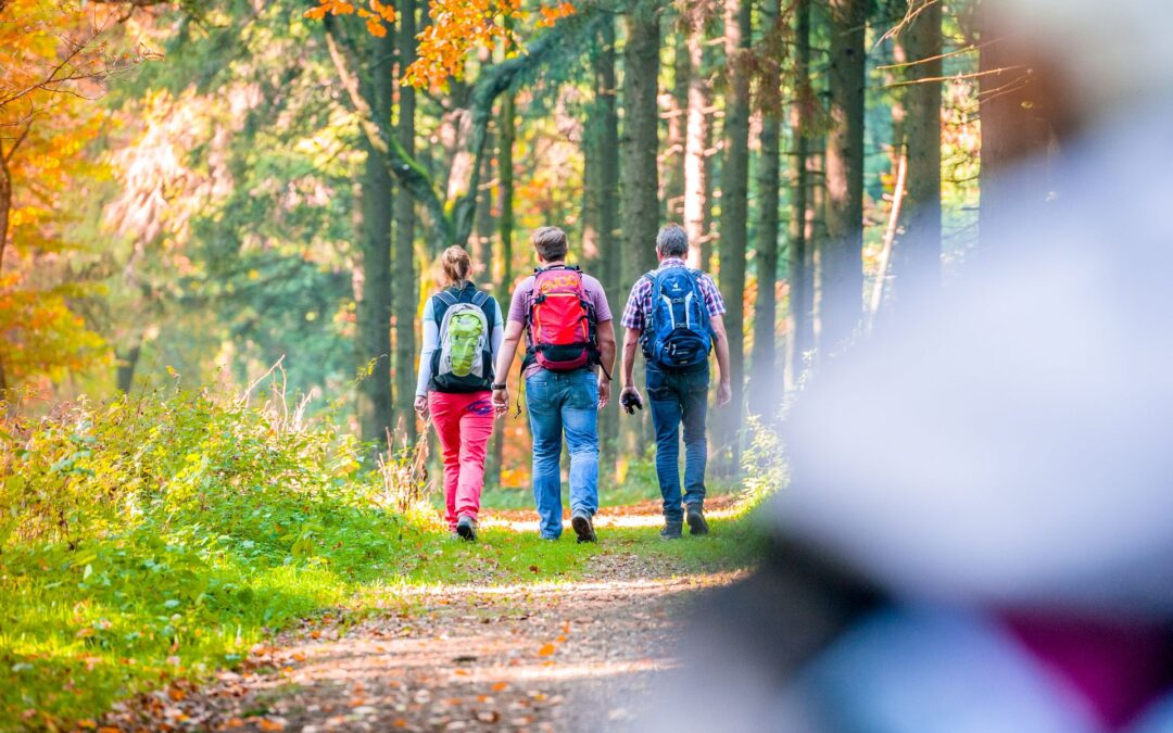 Natur pur! Neue Wander-Reihe startet