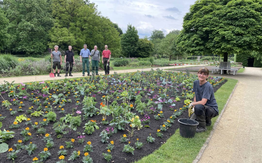 Schönes und Nützliches im Botanischen Garten kombiniert