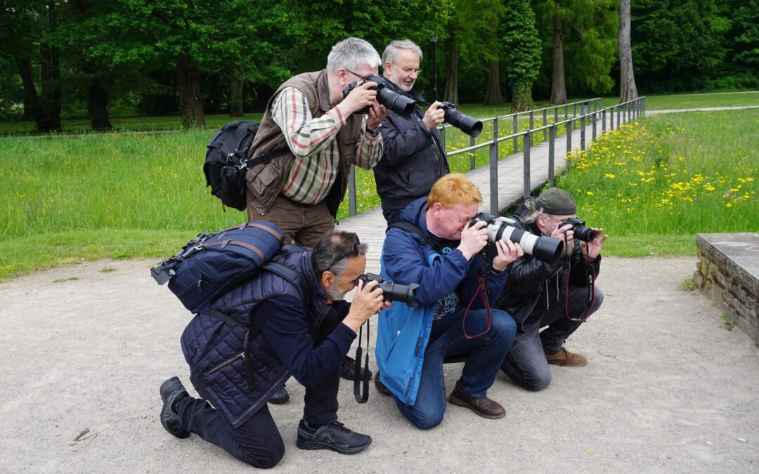 Fotos entlang der Dalke