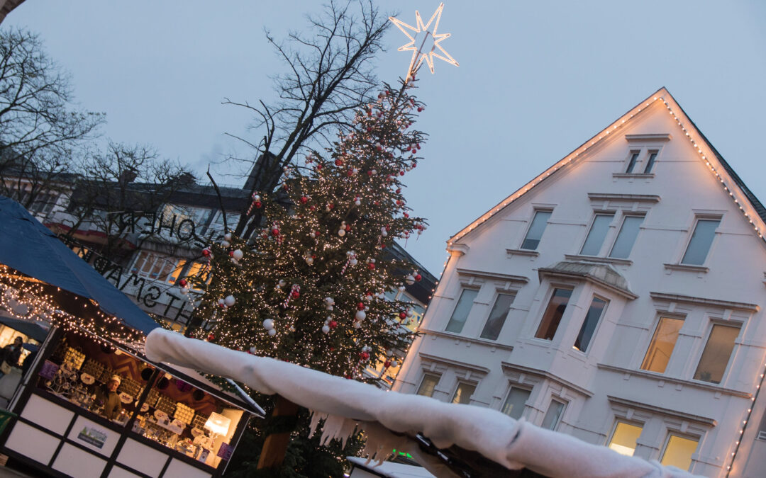 Große Tanne für den Weihnachtsmarkt gesucht