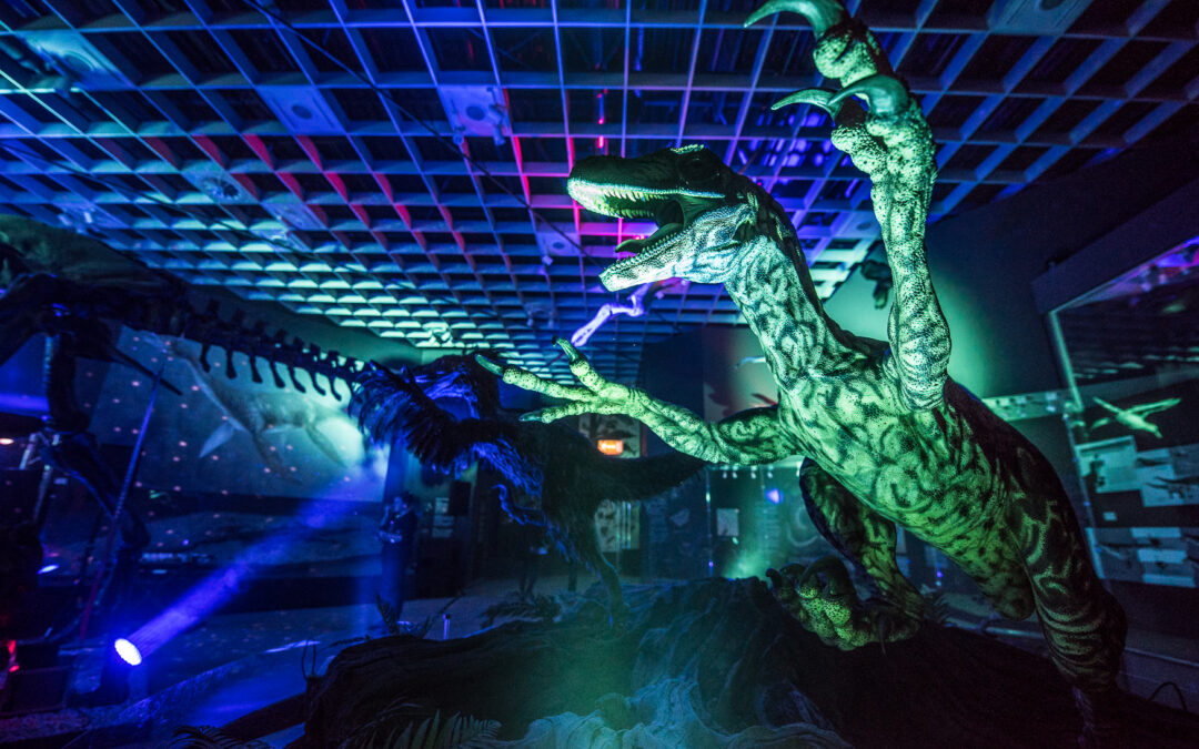 Nachts im Museum – Dinovergnügen