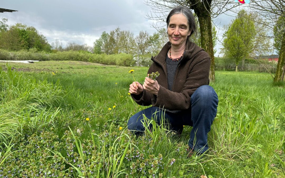 Kräuterküche und Camp-Tag im Gartenschaupark