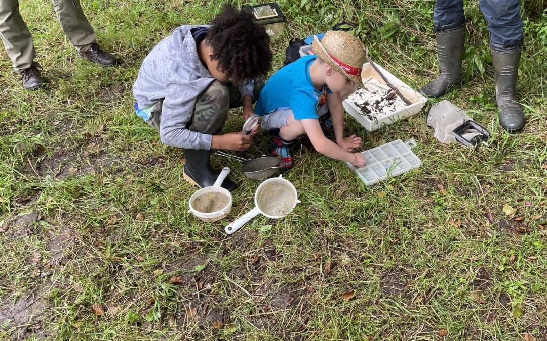 Biodiversi- was? Familien auf den Spuren der Artenvielfalt