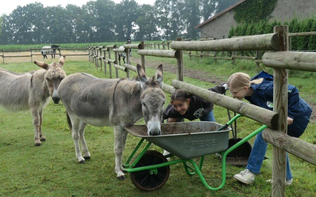 Aktivferien bei Achtung für Tiere