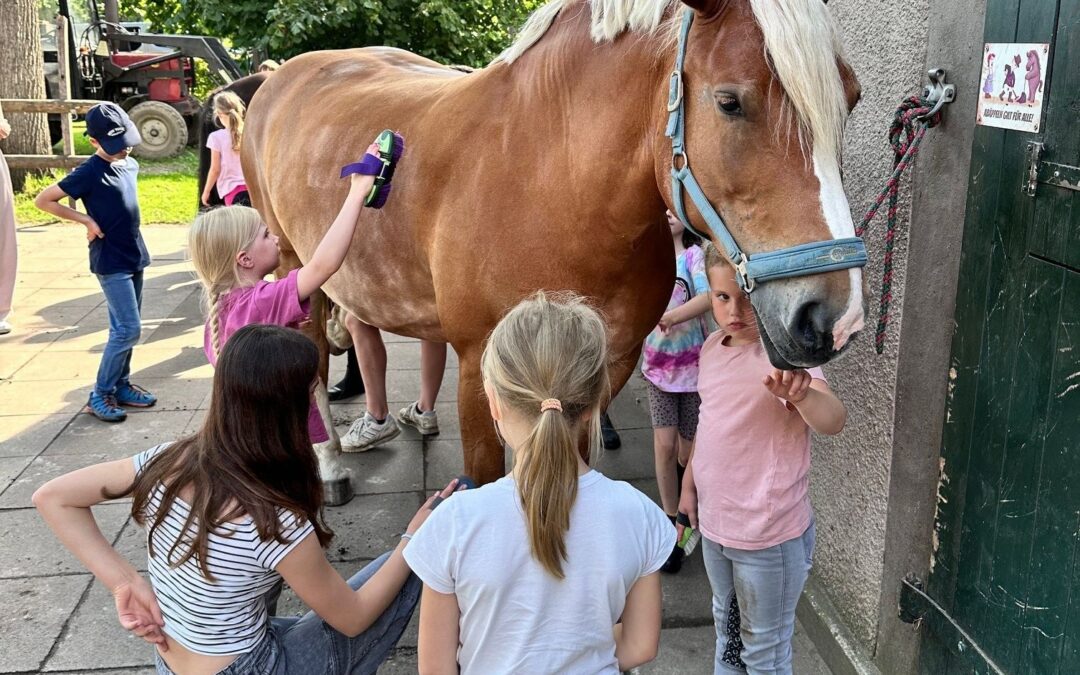 Reiten, Stadtranderholung oder verschiedene Sport und Kreativangebote: