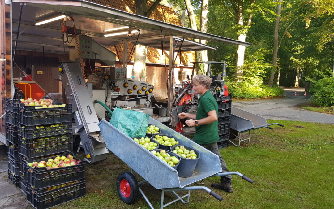 Im Stadtpark wird Obst zu Saft gepresst