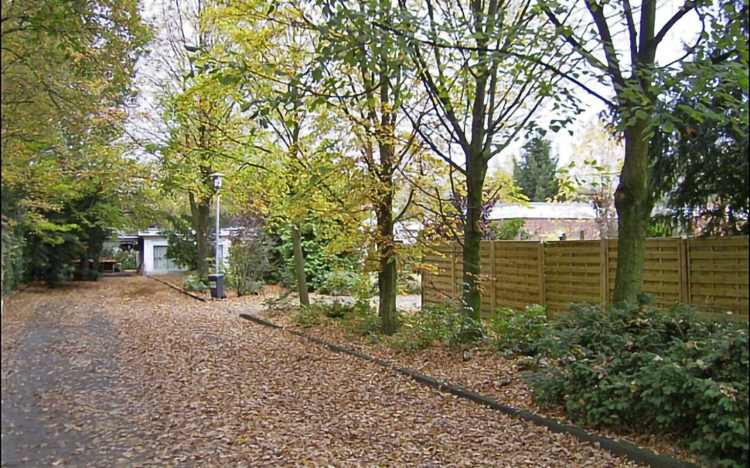 Änderungen bei der Laubabfuhr in der Stadt Gütersloh