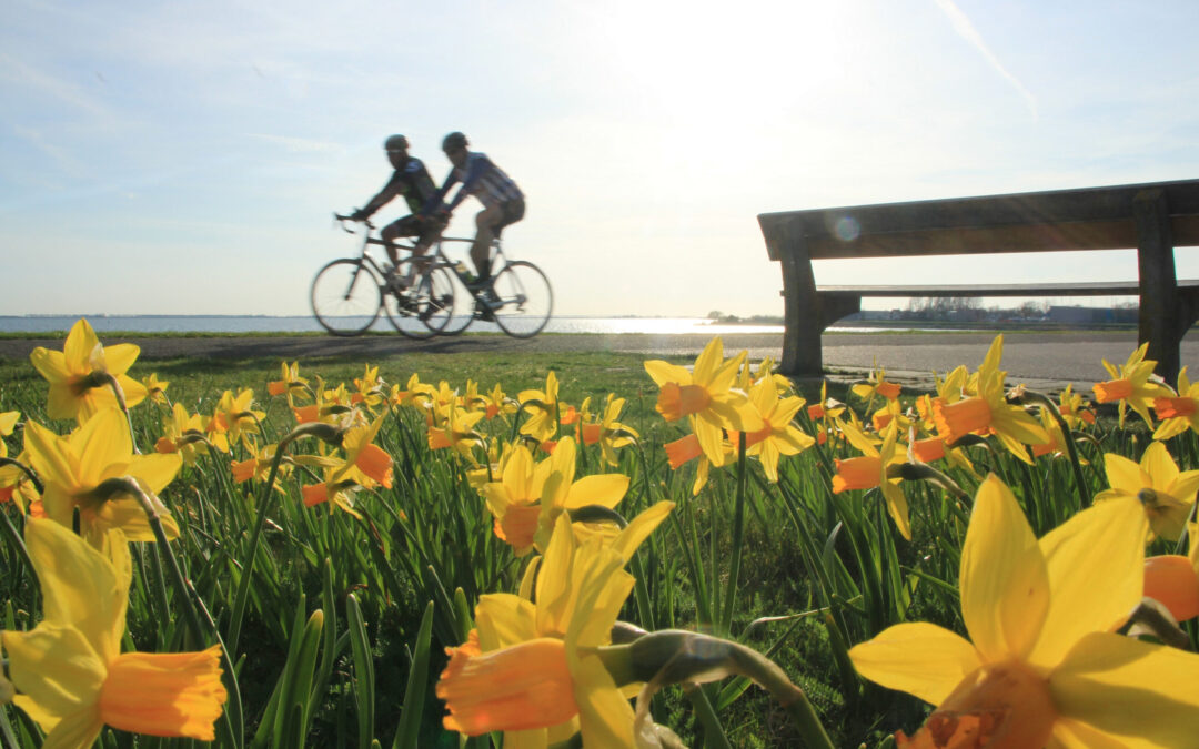 Am Aschermittwoch ist alles vorbei?