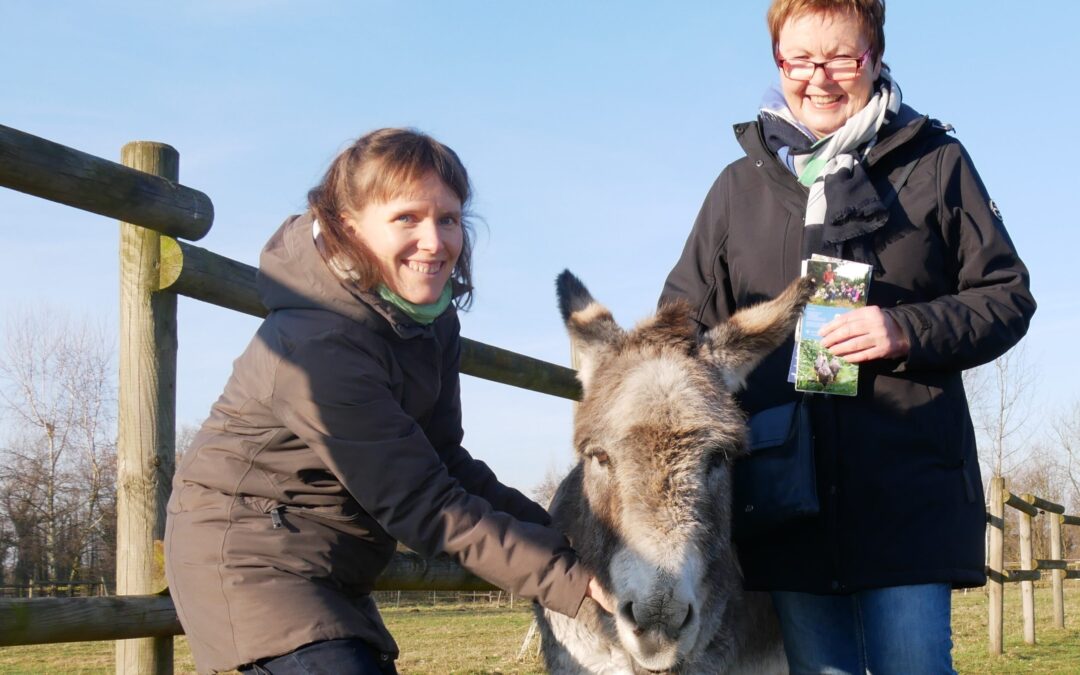 Finanzspritze für Tiere mit Handicaps