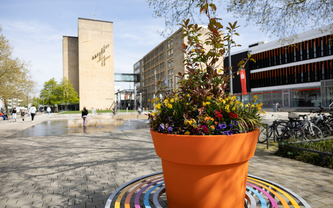 Gütersloher Frühling blüht auf