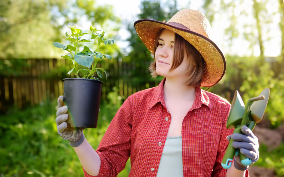 Ungetrübter Start in die Gartensaison im Kreis Gütersloh