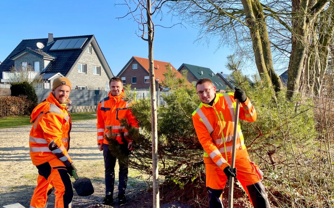 Stadt setzt mehr als 120 neue Bäume