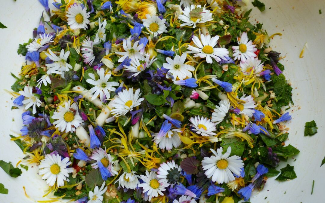 Lebendige Gärten: Zwei Veranstaltungen rund um heimische Wildkräuter