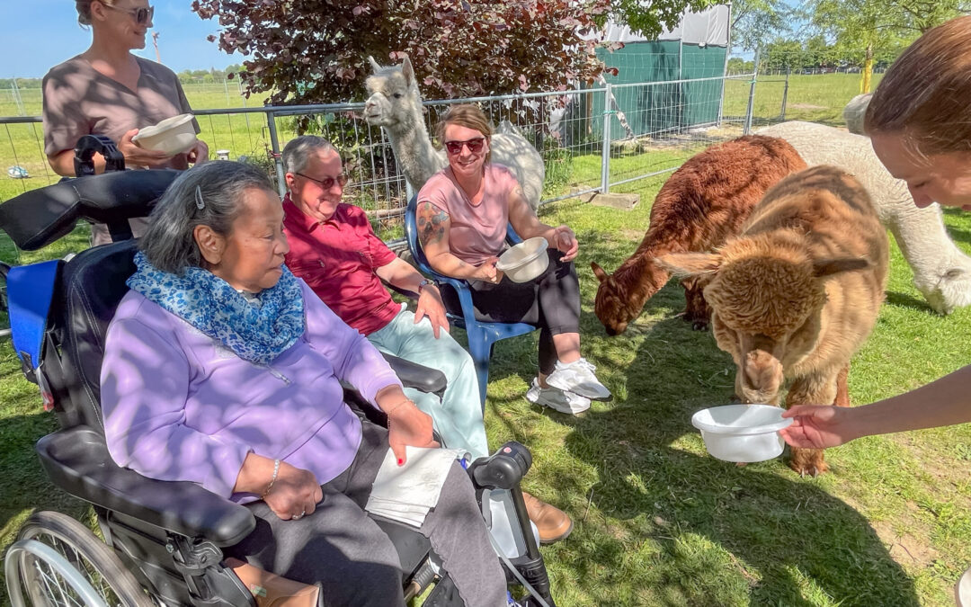 Intensivpflege-WG besucht „Natur-Oase Alpakas“