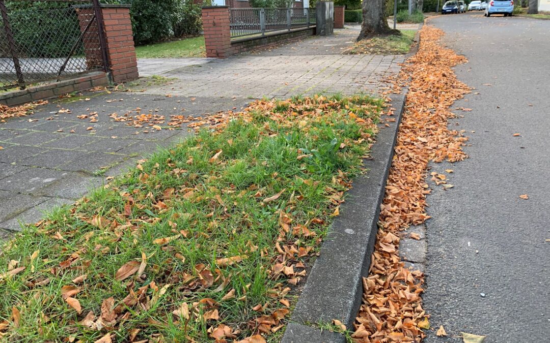 Laub in der Straßenrinne