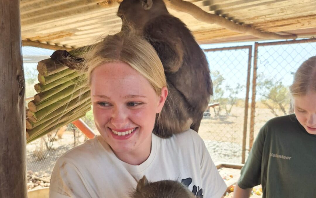 RAUS AUS HARSEWINKEL, REIN INS ABENTEUER