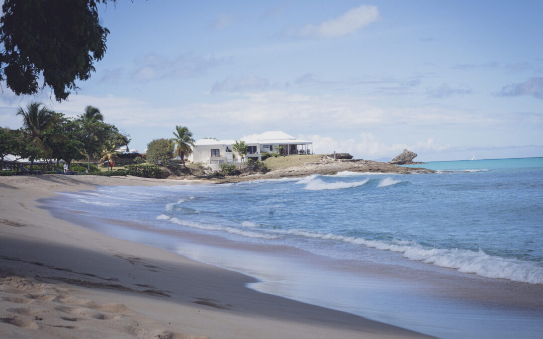 ANTIGUA – EINE REISE ZU DEN EIGENEN WURZELN