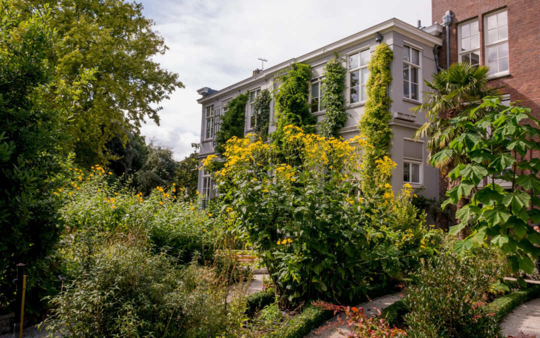HORTUS BOTANICUS AMSTERDAM